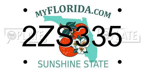 2ZS335 Florida License Plate