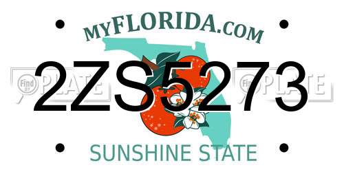 2ZS5273 Florida License Plate