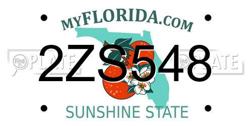 2ZS548 Florida License Plate