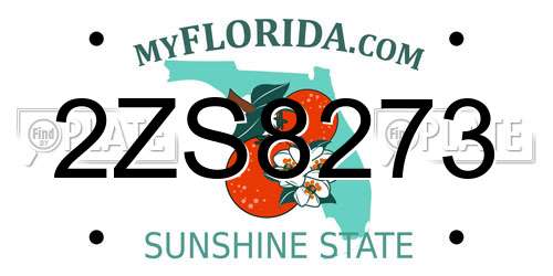 2ZS8273 Florida License Plate