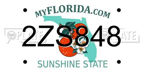 2ZS848 Florida License Plate