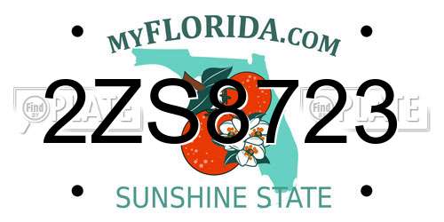 2ZS8723 Florida License Plate