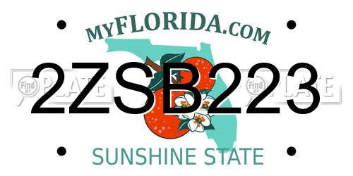 2ZSB223 Florida License Plate
