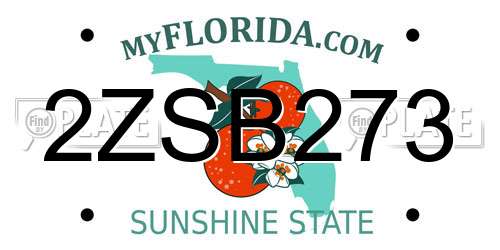 2ZSB273 Florida License Plate