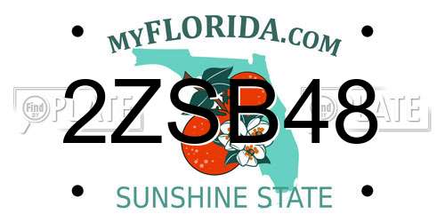 2ZSB48 Florida License Plate