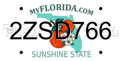 2ZSD766 Florida License Plate