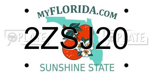 2ZSJ20 Florida License Plate