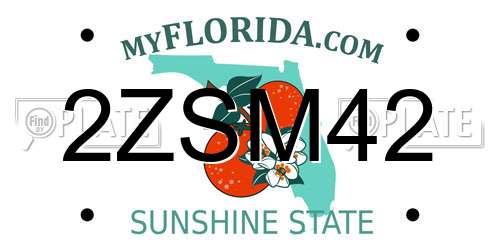2ZSM42 Florida License Plate