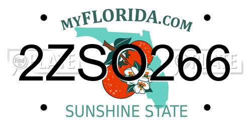 2ZSO266 Florida License Plate