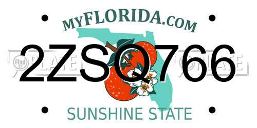 2ZSQ766 Florida License Plate