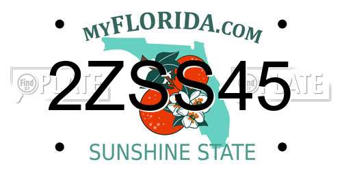 2ZSS45 Florida License Plate