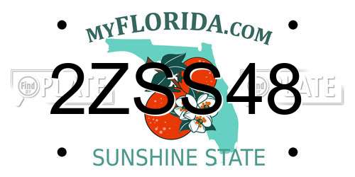 2ZSS48 Florida License Plate