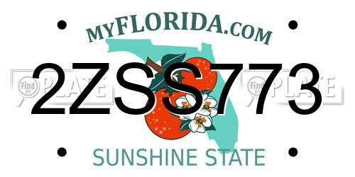 2ZSS773 Florida License Plate