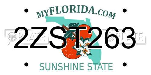 2ZST263 Florida License Plate