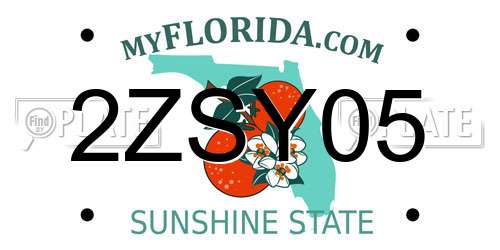 2ZSY05 Florida License Plate