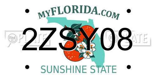 2ZSY08 Florida License Plate
