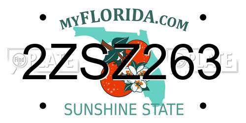 2ZSZ263 Florida License Plate