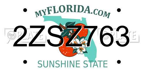 2ZSZ763 Florida License Plate