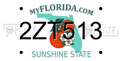 2ZT513 Florida License Plate