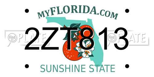 2ZT813 Florida License Plate