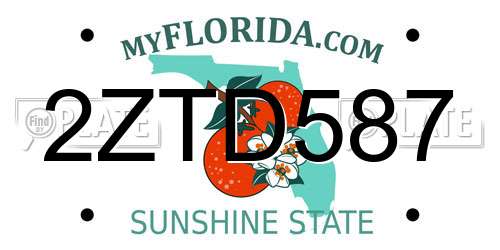 2ZTD587 Florida License Plate