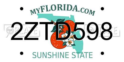 2ZTD598 Florida License Plate