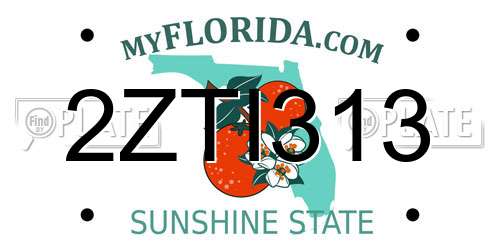 2ZTI313 Florida License Plate