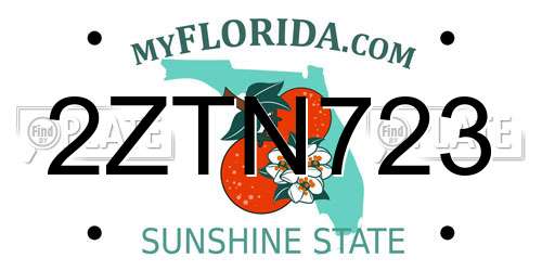 2ZTN723 Florida License Plate