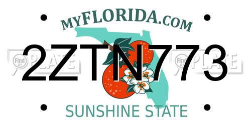 2ZTN773 Florida License Plate