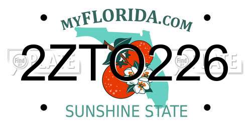 2ZTO226 Florida License Plate