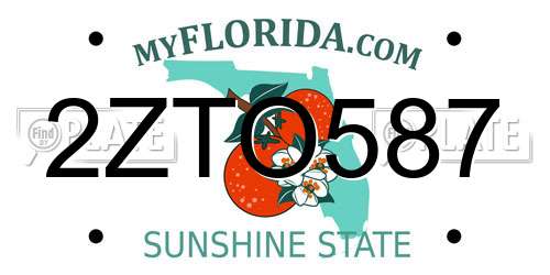 2ZTO587 Florida License Plate