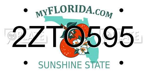 2ZTO595 Florida License Plate