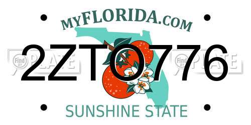 2ZTO776 Florida License Plate