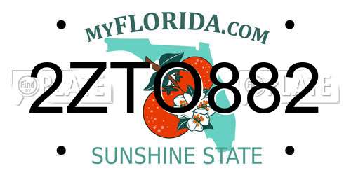 2ZTO882 Florida License Plate