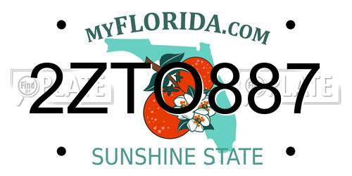 2ZTO887 Florida License Plate