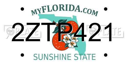 2ZTP421 Florida License Plate
