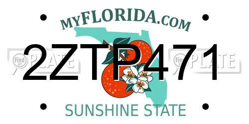 2ZTP471 Florida License Plate