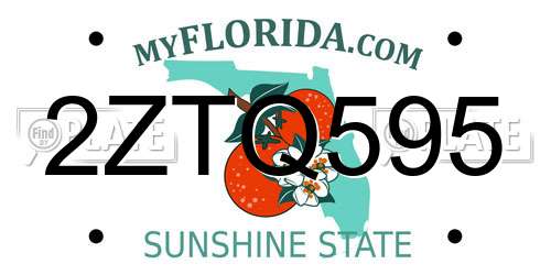 2ZTQ595 Florida License Plate