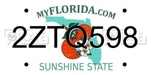2ZTQ598 Florida License Plate