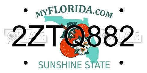 2ZTQ882 Florida License Plate