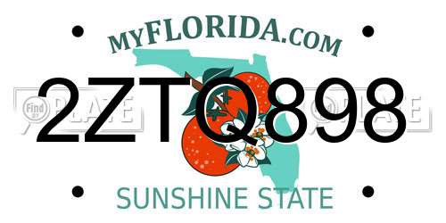 2ZTQ898 Florida License Plate