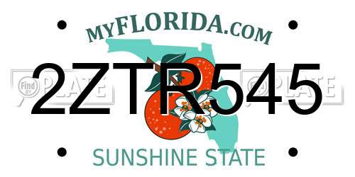 2ZTR545 Florida License Plate