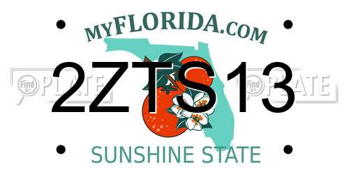 2ZTS13 Florida License Plate