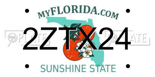 2ZTX24 Florida License Plate