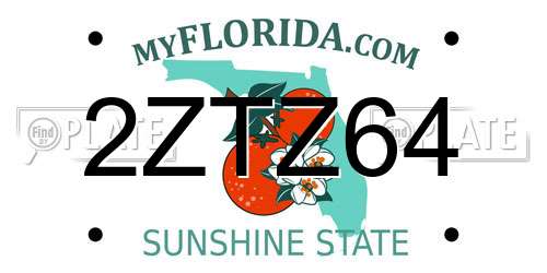 2ZTZ64 Florida License Plate