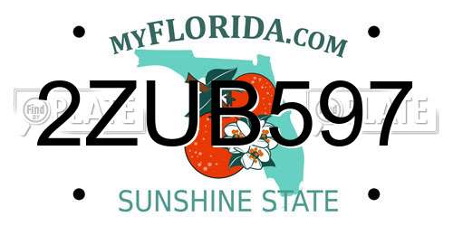 2ZUB597 Florida License Plate