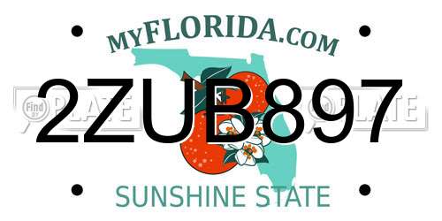 2ZUB897 Florida License Plate