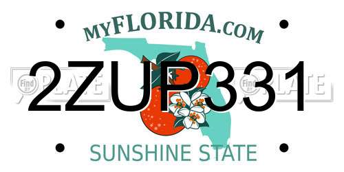 2ZUP331 Florida License Plate