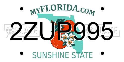 2ZUP995 Florida License Plate
