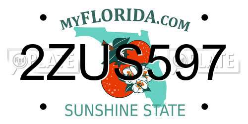 2ZUS597 Florida License Plate